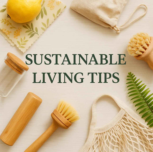 Sustainable Living Tips for a Greener Lifestyle - Page and Petal Apothecary