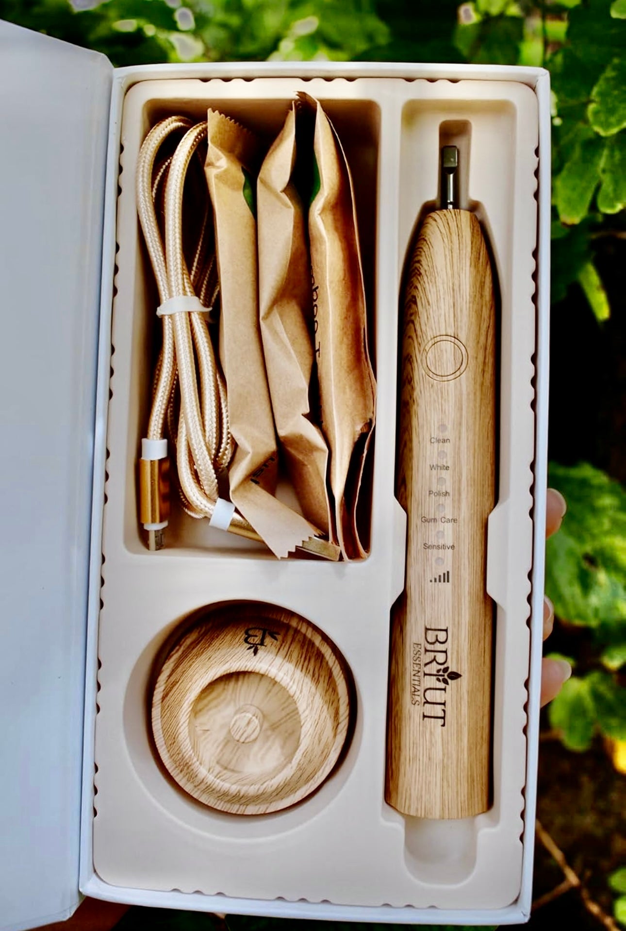 Bamboo Electric Toothbrush