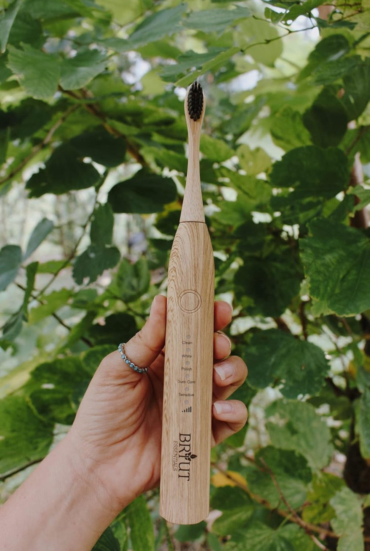 Bamboo Electric Toothbrush