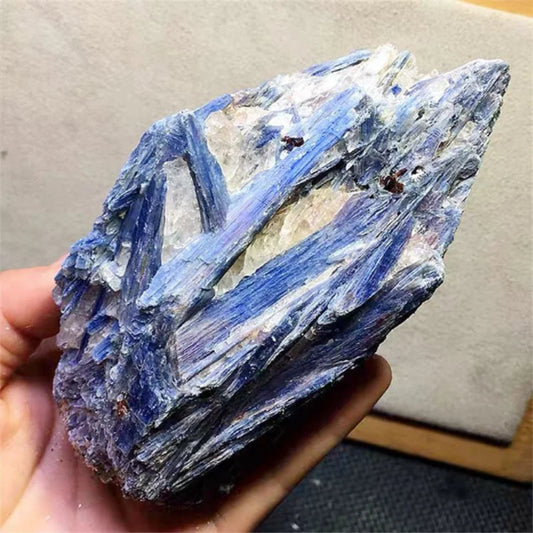 Natural Kyanite Crystal Specimen - Raw Gemstone (1pc) - Page and Petal Apothecary